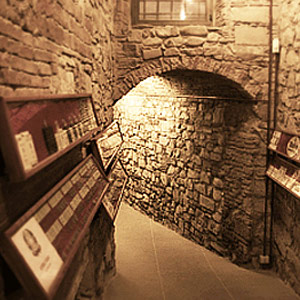 Il Museo del Vino